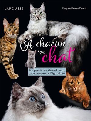 cover image of A chacun son chat